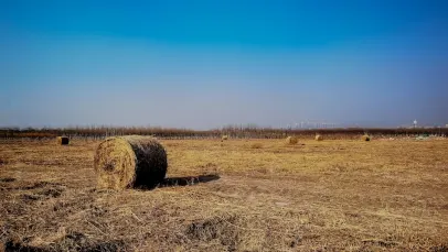 Kasino Lucky Pants Bingo Mobilní aplikace